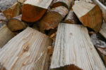 Grilovací sezóna odstartovala! Zásobte se kvalitním dřevem na zátop!