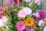 Soutěž o knihu Zahrada do vázy – průvodce pěstováním květin k řezu